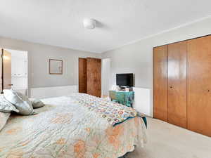 Primary bedroom with 2 closets and a bathroom with a shower.