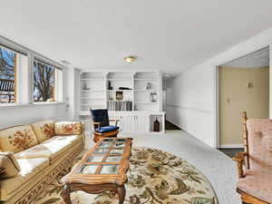 Living room in the basement with built in book cases.