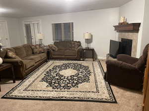 Living room featuring baseboards, a fireplace, and light colored carpet
