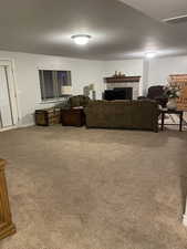Secondary family room basement