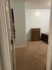 Spacious closet with carpet floors and visible vents