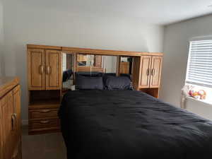 basement Bedroom featuring dark carpet