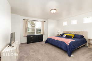 Bedroom featuring multiple windows and light colored carpet