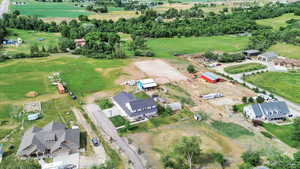 Bird's eye view of a tree filled landscape