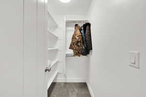 Spacious closet with carpet