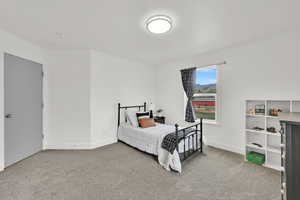 Bedroom with carpet