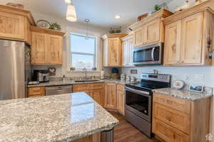 Kitchen featuring light brown cabinets, a sink, stainless steel appliances, and dark wood-type flooring