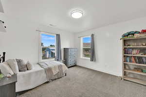 Bedroom featuring carpet flooring and multiple windows