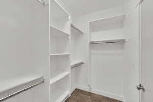 Spacious closet featuring dark carpet