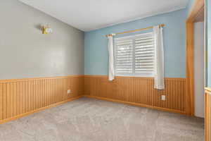 Spare room featuring a wainscoted wall, wood walls, and carpet floors