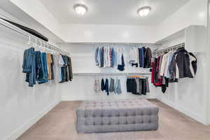 Walk in closet with carpet floors