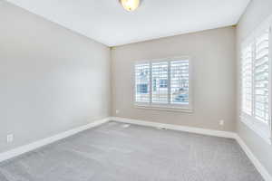 Spare room featuring baseboards, carpet flooring, and plenty of natural light