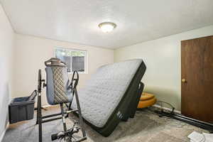 Workout area featuring carpet floors, baseboards, and a textured ceiling