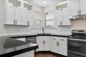 Kitchen featuring white cabinets, stainless steel appliances, tasteful backsplash, under cabinet range hood, and a sink