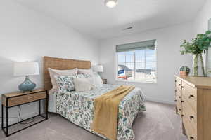 Bedroom featuring light carpet, baseboards, and visible vents