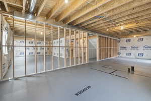 View of unfinished basement