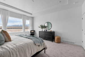 Carpeted bedroom featuring baseboards, visible vents, and a raised ceiling