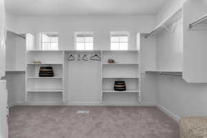 Spacious closet with carpet floors and visible vents