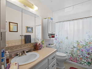Full bathroom with toilet, vanity, and a shower with shower curtain