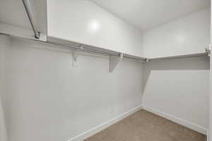 Spacious closet with light carpet