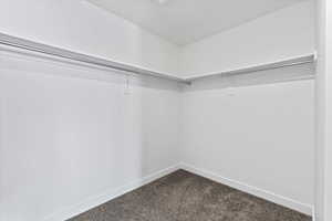 Spacious closet featuring dark colored carpet
