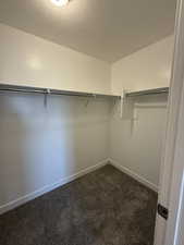 Spacious closet featuring dark carpet