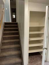 Stairs and basement storage closet.