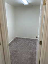 Finished basement closet/storage.