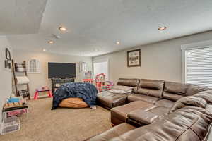 Living area featuring baseboards, carpet flooring, a textured ceiling, and recessed lighting