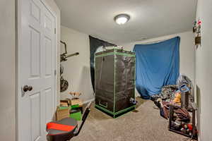 Recreation room with carpet and visible vents