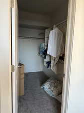 Spacious closet with carpet floors