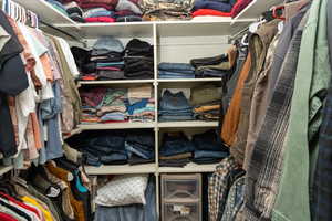 View of walk in closet