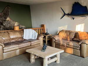 Living area with a textured wall, carpet, and a textured ceiling