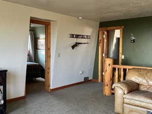 Carpeted living area featuring baseboards, a textured ceiling, and a textured wall