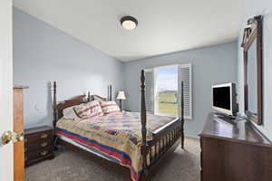 Bedroom with carpet floors