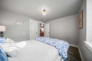 Lower level bedroom with newer paint & carpet.