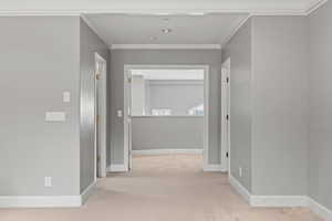 Hallway featuring crown molding, baseboards, and carpet