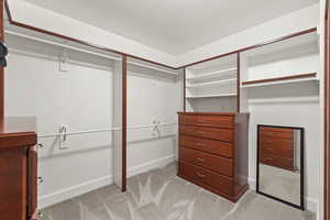 Walk in closet with light colored carpet