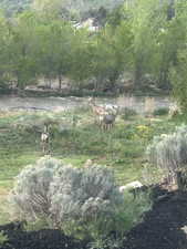 View of nature