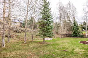 Photo 39 of 9106 N UPPER LANDO LN