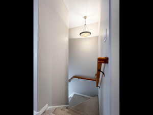 Stairs featuring baseboards and carpet