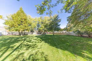 View of fenced backyard