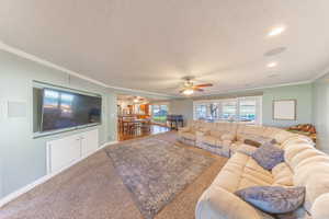 Living room featuring ornamental molding, carpet, healthy amount of natural light, a ceiling fan, and a textured ceiling