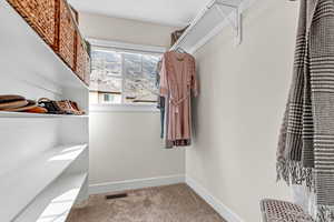 Walk in closet with carpet floors