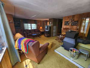 Living room with wood walls