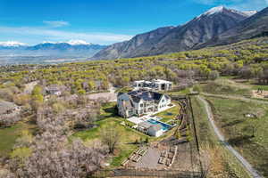Aerial view with a view of trees and a mountain view