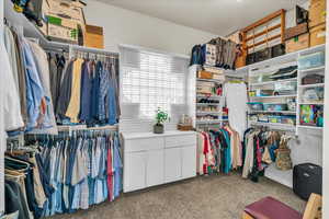 Spacious closet featuring carpet flooring