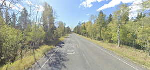 View of street featuring a wooded view
