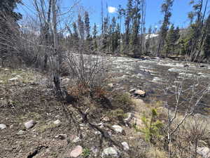 View of nature