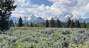 View of mountain feature featuring a forest view